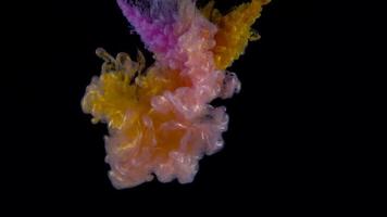 Color drop underwater creating a silk drapery. Ink swirling underwater. Reverse shooting video