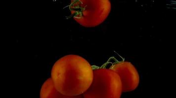 rojo Tomates otoño y flotador en agua, negro fondo, lento movimiento video