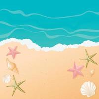 Vector cartoon background with gradient. Top view of the sunny beach by the sea or ocean. Sunny landscape. Shells of different shapes and starfish on the sand. Holidays decoration