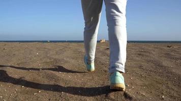 activo caminante mujer camina en el playa a el agua. caucásico joven mujer con mochila en tenerife, canario islas video