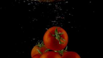 rood tomaten vallen en vlotter in water, zwart achtergrond, langzaam beweging video