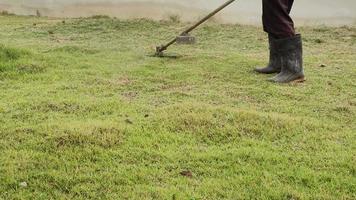 A man uses gasoline powered lawn mower to trim his garden lawn on a sunny day. video