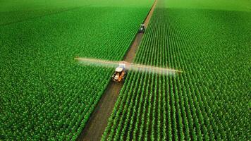 Aerial view of tractor spraying fertilizer on corn fields. 3d render photo