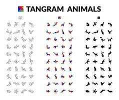 conjunto de tangram animales cerebro juego para niños vector