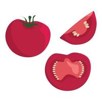 Vector illustration of a red tomato and pieces of tomato on white background