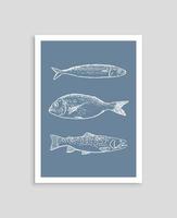 Hand drawn poster with different type of fishes. Abstract ocean life poster template vector