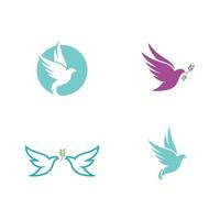 Bird wing Dove icon Template vector illustration