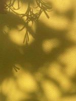 A yellow background with a shadow of leaves and a tree in the foreground. photo