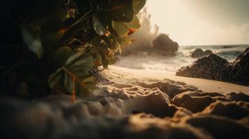 Tropical beach with palm trees and sand dunes at sunset,blue sea photo