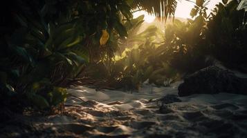 Tropical beach with palm trees and sand dunes at sunset,blue sea photo