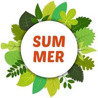 Green summer leaves under white round label and inscription summer. Vector card with green leaves isolated on white background