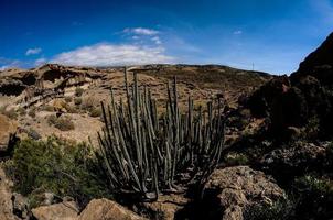 escénico ver de el montañas foto