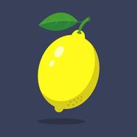 Lemon with leaves isolated on background. vector