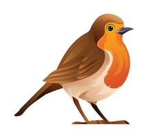 Cute robin bird cartoon illustration isolated on white background vector