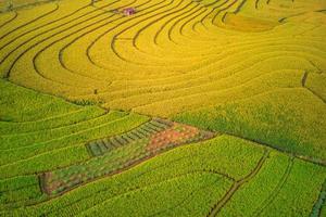 aerial view beautiful morning view from Indonesia about mountain and forest photo