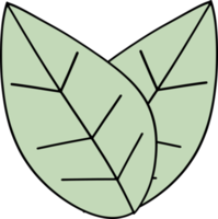 The green leaf drawing image png