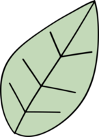 The green leaf drawing image png