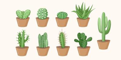 various Green cactus set potted plant home decor house plant nature vector