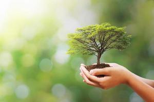 hand holding tree on blur green nature background. concept eco earth day photo