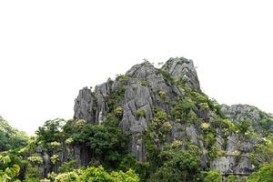 rock mountain hill with  green forest isolate on white background photo