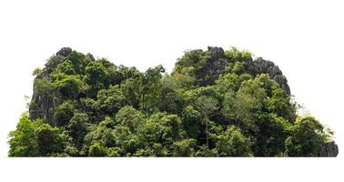 colina de montaña rocosa con bosque verde aislado sobre fondo blanco foto