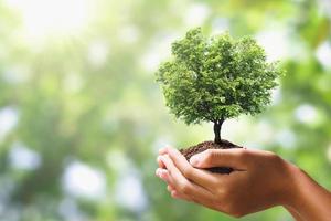 mano participación árbol en difuminar verde naturaleza antecedentes. concepto eco tierra día foto