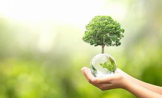 hand holding glass globe ball with tree growing and green nature blur background. eco concept photo