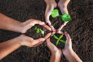 top view three hand holding plant on soil. eco concept photo