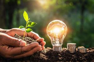 energy concept. eco power. lightbulb with money and hand holding small tree  sunlight background photo