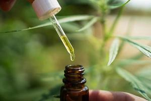 hemp oil dropper in bottle with cannabis tree background photo