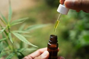 hemp oil dropper in bottle with cannabis tree background photo