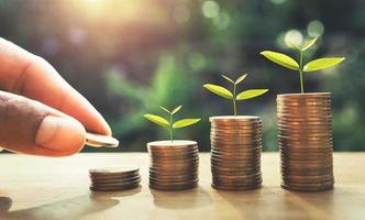 hand putting coins on stack with plant growing on money . finance and accounting concept photo