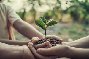 three hand holding tree for planting. concept earth day photo