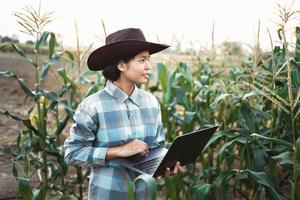 joven mujer en pie utilizar ordenador portátil comprobación maíz en granja. tecnología agricultura conept foto
