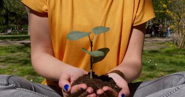 Woman Holding A Plant video