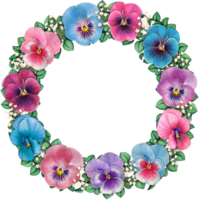 watercolor pansy round frame wreath png