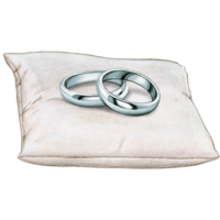 watercolor hand drawn wedding rings on cushion png