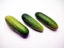 Cucumbers isolated in white background photo