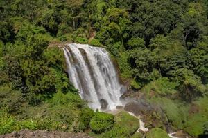 Landscape photo of great water fall on the travel destination Semarang Central Java. The photo is suitable to use for adventure content media, nature poster and forest background.