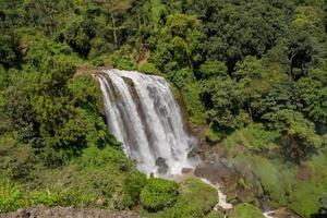 Landscape photo of great water fall on the travel destination Semarang Central Java. The photo is suitable to use for adventure content media, nature poster and forest background.