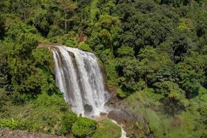 Landscape photo of great water fall on the travel destination Semarang Central Java. The photo is suitable to use for adventure content media, nature poster and forest background.