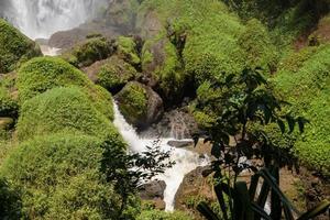 Landscape photo of great water fall on the travel destination Semarang Central Java. The photo is suitable to use for adventure content media, nature poster and forest background.