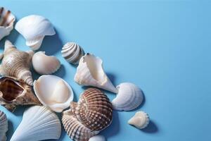 Banner with seashells. Copy space, top view, summer background. . photo