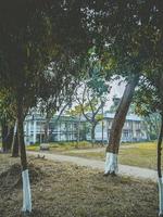 A path between trees with a building in the background photo