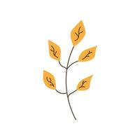 Autumn twig with yellow leaves vector flat