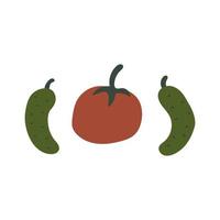 Cucumbers and tomato. Set for salad. Cartoon vector