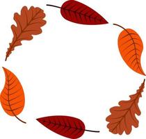 Autumn leaves of different trees in the form of a circle colorful illustration vector