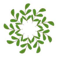 Frame of green twigs for highlights vector