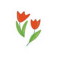 Two red tulips. Colorful vector doodle hand drawn