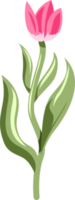 tulipe png graphique clipart conception